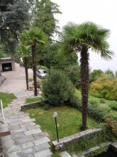 fotogallery